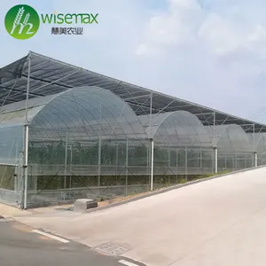 Low cost agricultural equipment multi span commercial greenhouse used for sale
