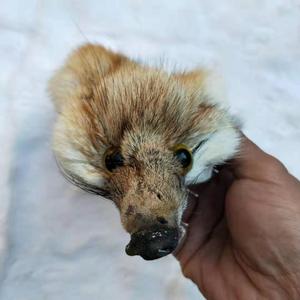 ALICEFUR giá Bán Buôn trang trí con cáo lông mặt nạ đầu bất red <span class=keywords><strong>fox</strong></span> đầu lông mặt dây chuyền - Product Image 5