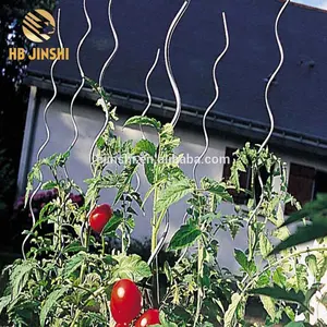 Pedaços de jardim torcidas tomate espiral fio