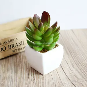 Nuovo disegno realistico plastica succulente mini bonsai artificiale pianta