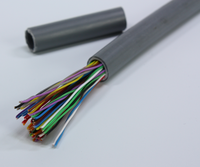 100FT 22 AWG 20 Paires/30 Paires/50 Paires CAT6 Blindé Direct Câble Enterré Globales Blindées Câble Téléphonique