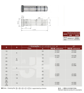 Pin líder eyector de acero de alta tolerancia Piezas de molde de plástico de buena calidad Molde de forja pulido - Product Image 4