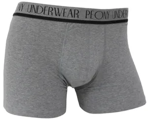 Elastic fabric sexy men spandex cotton breathable boxe briefs underwear plus size underwear underpants