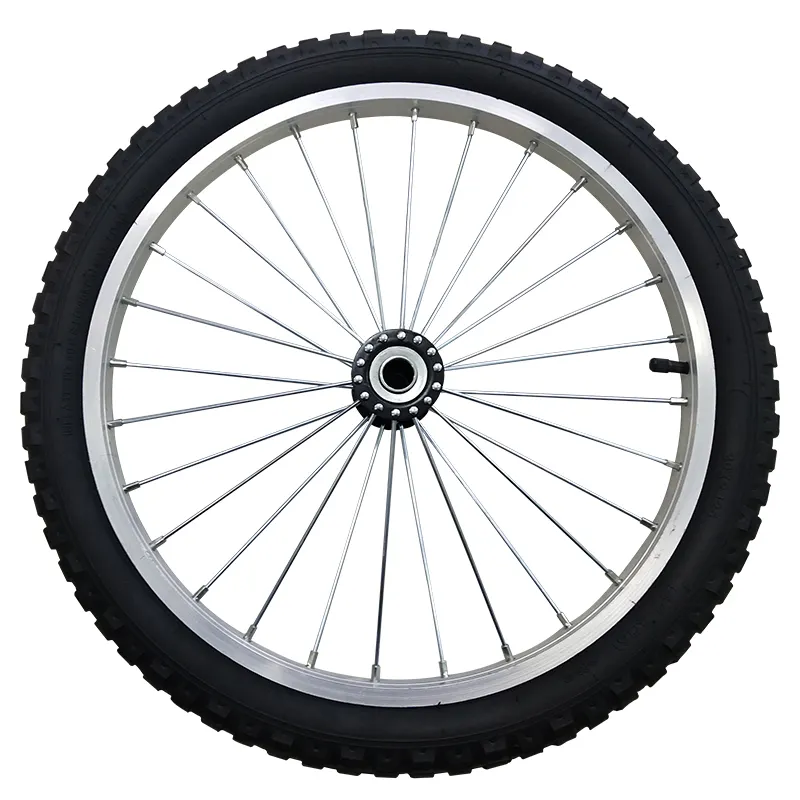 20 Inch Fiets Aluminium Spoke Rubber Pneumatische Wielen