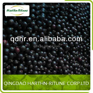 Congelati ribes nero