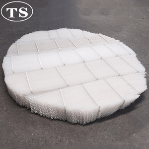 PP PE PTFE Plastic <strong>corrugated</strong> <strong>plate</strong> packing plastic structured packing - Product Image 3