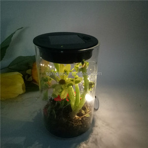 Cylinder Glass Light-up <strong>Terrarium</strong> <strong>Kit</strong> for Kids with LED Solar Light Lid - Product Image 3
