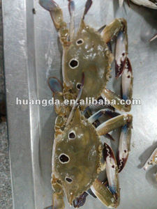 Cua xanh Đông lạnh cua bơi Đỏ với ba mắt và ba điểm cắt nửa và toàn bộ vòng - Product Image 2