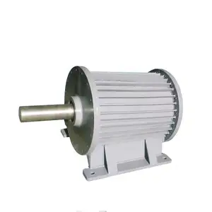 12 V-380 V AC/DC 100W-100KW 30 rpm-6000 rpm 1kw 100 rpm pmg kalıcı manyetik jeneratör