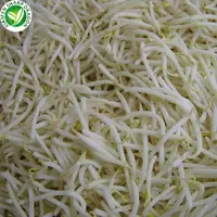 生野菜冷凍発芽緑豆メーカー卸売価格iqf