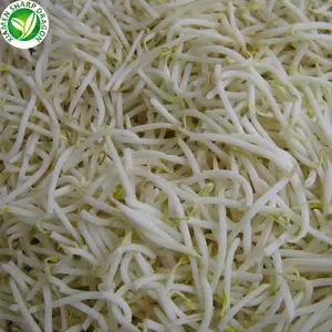Productor großhandel maker preis iqf grün gemüse gefrorene sprießen mung bohnen