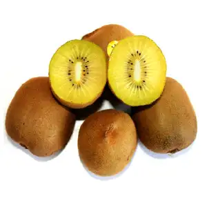 Oro kiwi estilo fresco orgánico kiwi los precios