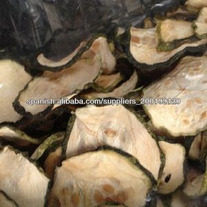 Escamas de calabacín (calabacín o calabaza de verano o cucurbita pepo) - Product Image 1