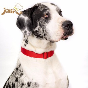 भारी ड्यूटी नायलॉन मार्टिंगेल कुत्ते कॉलर बिना बकल - Product Image 5