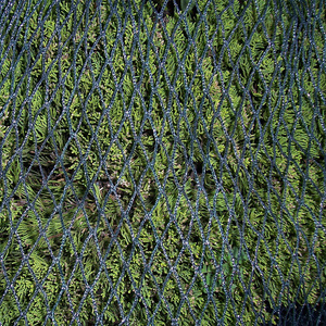 Protezione agricoltura reti Anti-uccello <span class=keywords><strong>per</strong></span> piscina che copre il <span class=keywords><strong>giardino</strong></span> di <span class=keywords><strong>rete</strong></span> - Product Image 4