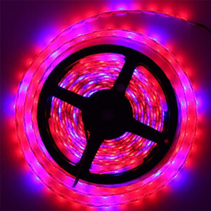 ENJO Lámparas de <span class=keywords><strong>cultivo</strong></span> y partes de las mismas rojo azul 5050 grow <span class=keywords><strong>LED</strong></span> strip Light para el crecimiento de las plantas - Product Image 2