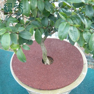 공장 가격 고성능 고무 멀치 나무 링 보호 매트 대형 소형 나무용 원형 매트 - Product Image 5