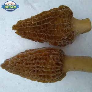 Detan Harga Pasar Beku Hitam Morel Mushroom untuk Pembeli