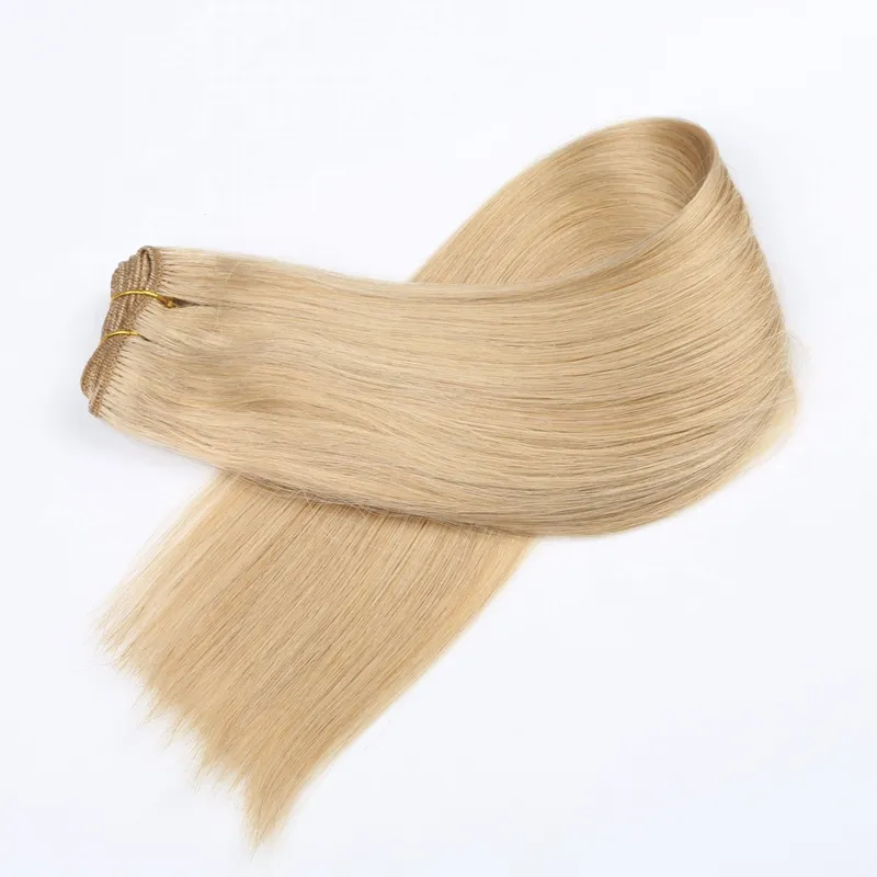 Free sample hair bundles 100% european human hair weft 100g hair extension