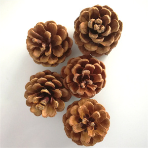 Boxed Natural <strong>Pinecones</strong> and Dried Flowers for Christmas Ornaments and Shooting Props with Flocking Printing Techniques - Product Image 5