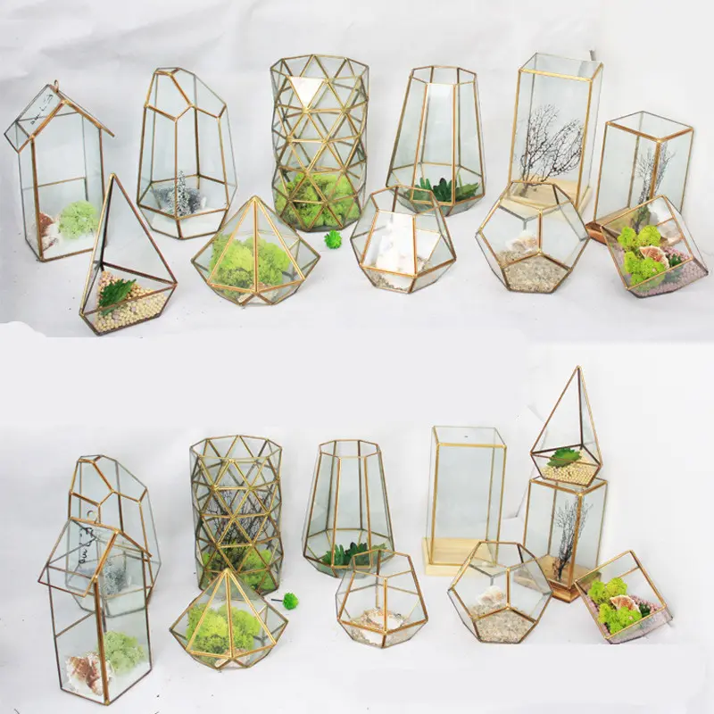 Groothandel Onregelmatige Glas Goud Geometrische Terrarium Voor Tafelblad Vetplant Planter