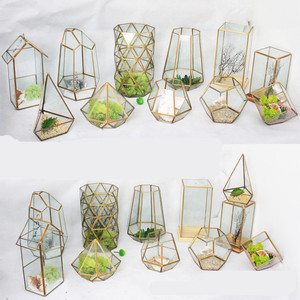 Wholesale irregular Glass gold geometric Terrarium for tabletop succulent plant planter