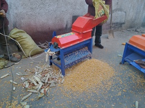Máquina Combinada Desgranadora y Peladora de Maíz, Equipo de Desgranado y <span class=keywords><strong>Trillado</strong></span> de Maíz, Accionada por Diésel - Product Image 5