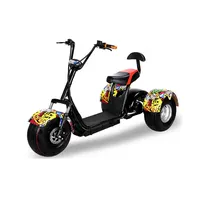 Citycoco Electric Tricycles for Adult, 3 Wheels
