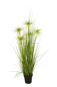 Pas cher en plastique faux artificielle oignon décoration murale herbe plante artificielle avec racines - Product Image 5