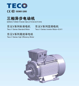 <span class=keywords><strong>มอเตอร์</strong></span>ไฟฟ้ากระแสสลับ 3 เฟส <span class=keywords><strong>ยี่ห้อ</strong></span> <span class=keywords><strong>TECO</strong></span> - Product Image 4