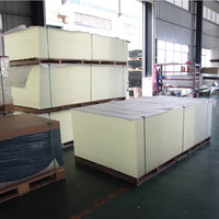 Xingxintao — feuille acrylique 100% vierge, Mma 48mm Pmma