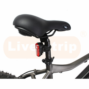 Clásico <span class=keywords><strong>Fatbike</strong></span> 48V 500W <span class=keywords><strong>Bafang</strong></span> trasero Hub Motor eléctrico de nieve/bicicleta de montaña con batería - Product Image 3