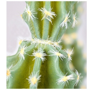 <span class=keywords><strong>Interior</strong></span> planta ornamental <span class=keywords><strong>suculentas</strong></span> al aire libre plantas <span class=keywords><strong>cactus</strong></span> artificial de plástico decoración de <span class=keywords><strong>cactus</strong></span> - Product Image 3