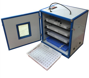 ALEX 264 tự chế lồng ấp trứng gà với nở giá lồng ấp - Product Image 4