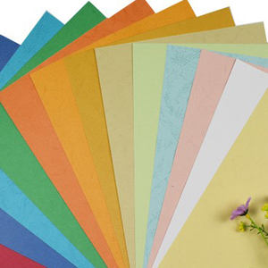 color bristol board paper/ color card board/manila-color bristol