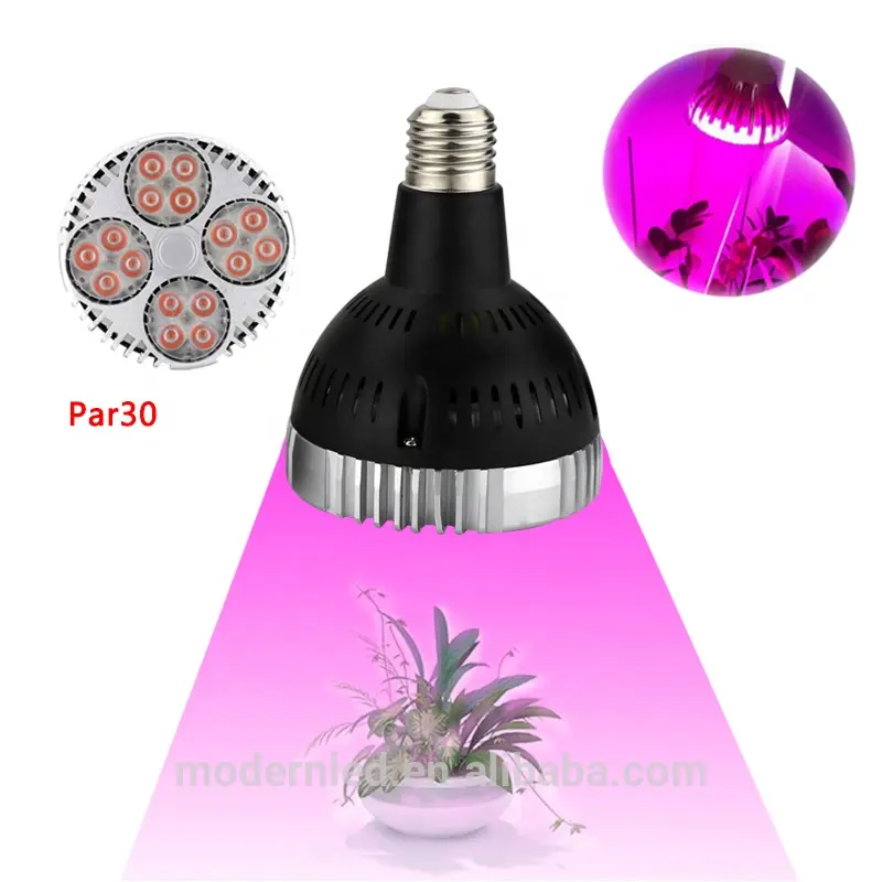 PAR38 Home Light Grow Light Bulb Full Spectrum LED Grow Light For Greenhouse