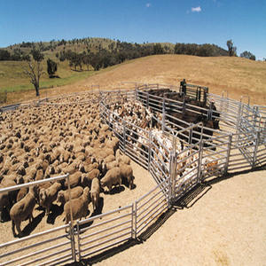 Скот в загон панелей/лошадь загон панелей/скота, используемых панелей - Product Image 5