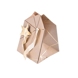 Tùy Chỉnh Sang Trọng Giấy Hoa Hộp Túi Thân Thiện Với Môi Giấy Nghệ Thuật Với Xử Lý In Và Dập Nổi Matt Nhiều Lớp - Product Image 4