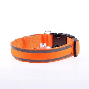 Lueur en gros colliers de chien produits pour animaux de compagnie chien chat collier de chien léger mené - Product Image 4