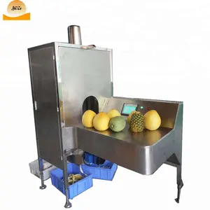 Mango dunschiller machine mango peeling en snijmachine