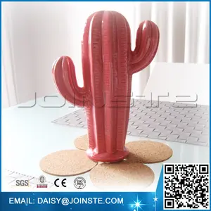 Fortunato piante per la casa rosso pianta di cactus, fortunato cactus