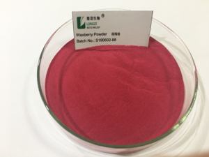 <span class=keywords><strong>Myrica</strong></span> <span class=keywords><strong>Rubra</strong></span>/Waxberry/polvo de Bayberry rojo, 100%, suministro de fábrica - Product Image 2