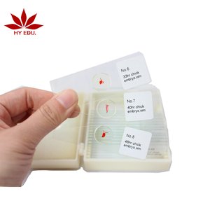 Juego Fijo de 25 Portaobjetos de Microscopio con Embriones de Pollo para Estudios de Biología y Embriología - Product Image 3