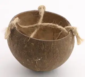 Natural vaso de flores de plantas de jardinagem bacia parede-pendurado para plantas suculentas e cactos ervas plantas pequenas