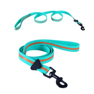 Collar de PVC respetuoso con el medio ambiente para perro, Correa y hebilla de Metal de oro rosa para caza al aire libre - Product Image 5