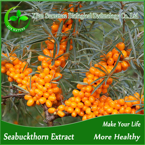 ผงสกัดจาก20% 10% ผงสกัดจากทะเล buckthorn - Product Image 3