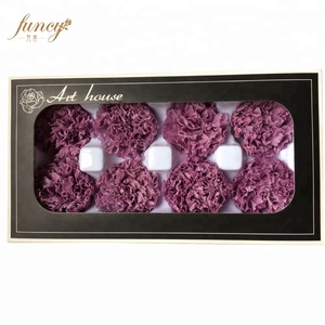 FuncyFlora All'ingrosso <span class=keywords><strong>Art</strong></span> <span class=keywords><strong>House</strong></span> Marca Conservato Reale Naturale Del Fiore Del Garofano - Product Image 5