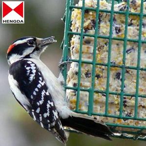 GREEN <strong>SUET</strong> CAKE <strong>BIRD</strong> <strong>FEEDER</strong> Nature Hanging Outdoor Feeding/Holder Cage - Product Image 3