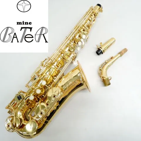 Alto saxofone HSL-1003,