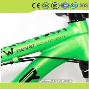 Usa <span class=keywords><strong>vannes</strong></span> très populaire mode en plein air vtt avec éclairage Led arrière <span class=keywords><strong>vélo</strong></span> gratuit fournir - Product Image 3